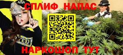 МДПВ Будённовск