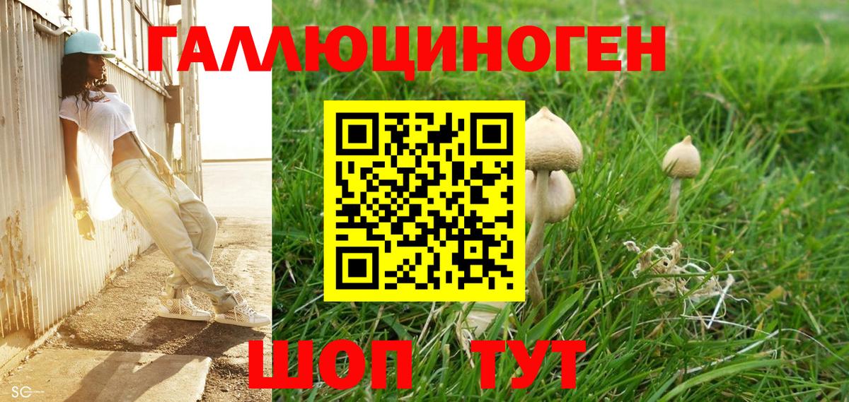 Галлюциногенные грибы мухоморы Отрадное
