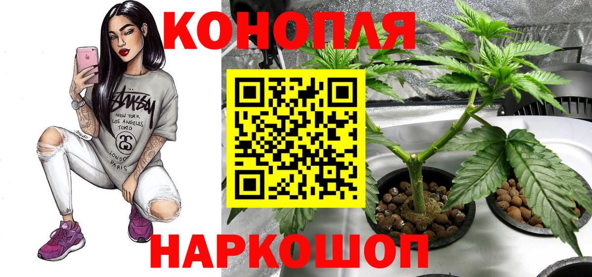 Бошки Шишки гибрид Отрадное